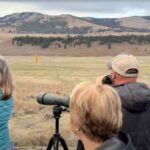 Privately Guided Safari at Sunset from West Yellowstone - Starting from West Yellowstone at Dusk