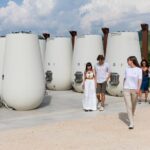 Prosecco tasting, appetizers and tour of the cellar and vineyards - The Unique Focus on Cartizze and Organic Farming