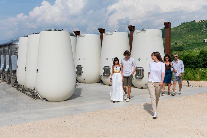 Prosecco tasting, appetizers and tour of the cellar and vineyards - The Unique Focus on Cartizze and Organic Farming