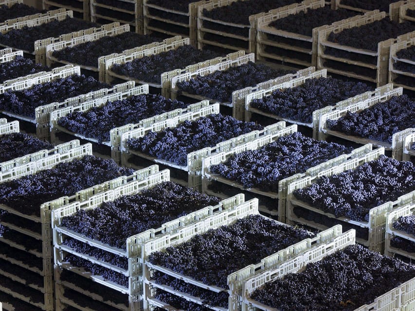 Prosecco Winery Tasting with Food Pairing near Venice - The Significance of the Ernest Hemingway Plaque