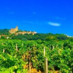 Provence Cru Wine Small-Group Half-Day Tour from Avignon - Visiting the Village of Gigondas: Roman Roots and Winemaking Heritage