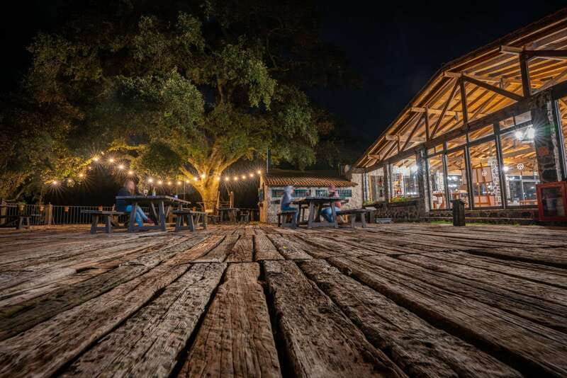 Puebla: Alpinia Mountain and Nature Park - Exploring the Activities: Hiking and Forest Walkways