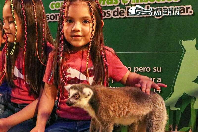 Puebla: Ticket to Aquarium Michin - Outdoor Animal Encounters: Rivers, Lakes, and Ecological Zones
