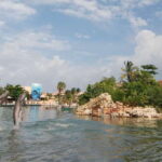 Puerto Aventuras: Manatee Encounter - What the 30-Minute Water Encounter Entails