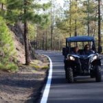 Puerto de la Cruz: Buggy Teide Sunset National Park - Relaxing Break at Ramon Caminero with Refreshing Drinks