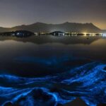 Puerto Escondido: Bioluminescence Night Tour with Boat - The Boat Ride into the Lagoon