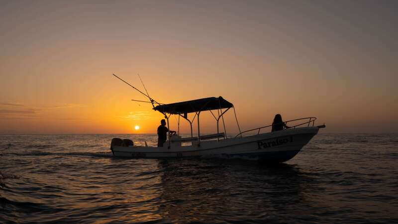 Puerto Escondido: Boat Tour among Dolphins and Turtles - Spotting Dolphins, Turtles, and Whales in the Pacific