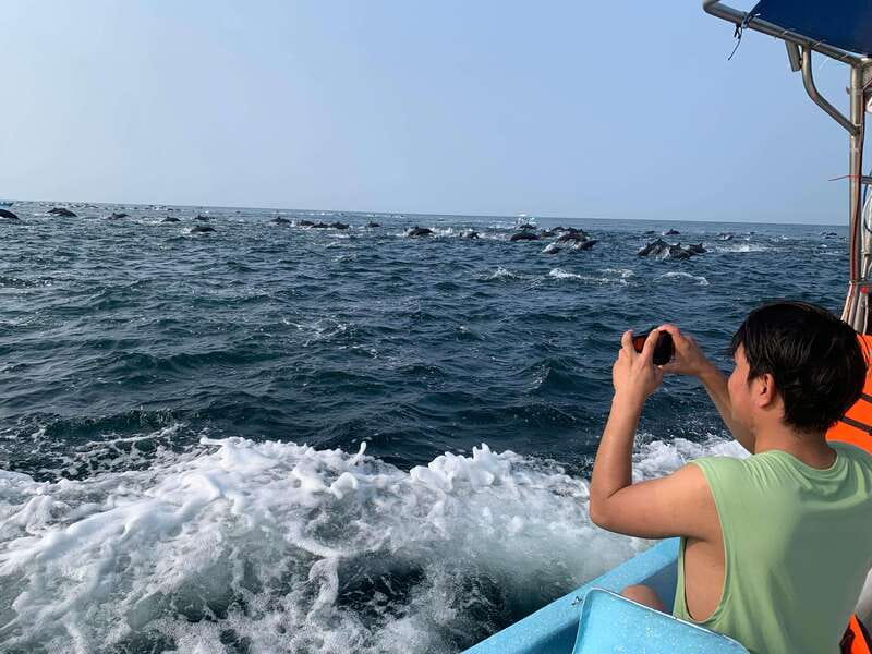 Puerto Escondido: Boat Tour to see Dolphins and Marine Life - Marine Life: Dolphins, Turtles, and More