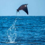 Puerto Escondido: Family Private Boat Tour - Starting in Puerto Escondido’s Waters