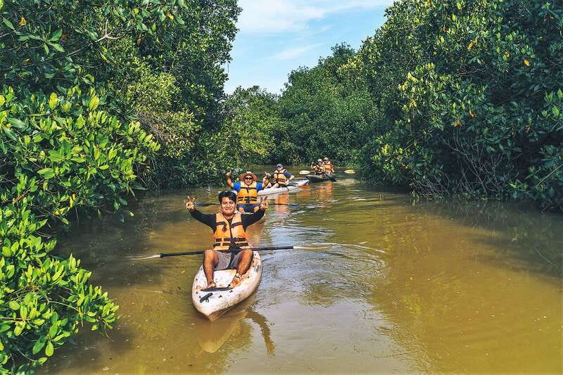 Puerto Escondido: Kayak Adventure On Manialtepec Lagoon - Navigating Through the Mangroves of Manialtepec Lagoon