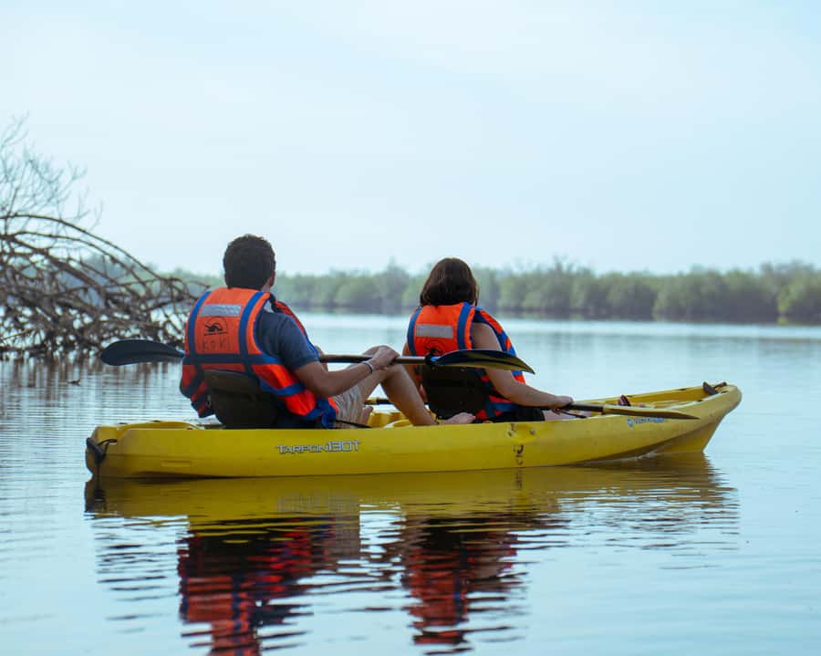 Puerto Escondido: Kayaking on Laguna Manialtepec - Navigating Laguna Manialtepec in a Kayak