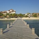 Puerto Morelos and Cenote with Snorkeling Tour from Cancun - Snorkeling at Puerto Morelos Reef National Park