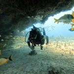 Puerto Morelos: C-56 Shipwreck & Reef for Certified Divers - Second Dive at Coral Reef in Puerto Morelos National Park