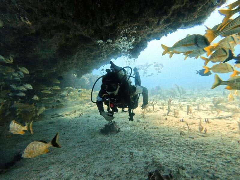 Puerto Morelos: C-56 Shipwreck & Reef for Certified Divers - Second Dive at Coral Reef in Puerto Morelos National Park