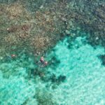 Puerto Morelos Catamaran Reef Sail and Snorkel - The Spacious Catamaran: Comfort and Safety on the Water