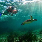 Puerto Morelos: Snorkeling Guided Activity - Starting Point and Group Size: Small, Personalized Tours with Top Guides