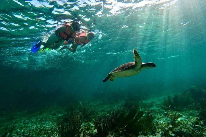 Puerto Morelos: Snorkeling Guided Activity - Starting Point and Group Size: Small, Personalized Tours with Top Guides