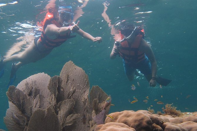 Puerto Morelos Two Reefs Snorkeling Tour - Exploring the Barrier Reefs: Two Snorkeling Locations
