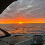 Puerto Rico, Gran Canaria: Boat Tour with Tapas and Drinks - Convenient Hotel Pickup and Drop-off in Gran Canaria’s South Coast