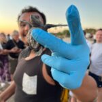 Puerto Vallarta: Baby Turtle Release in Conservation Area - Walking to the Conservation Site and What to Expect
