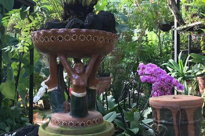 Puerto Vallarta Botanical Garden Tour with University Biologist - Arriving at the Puerto Vallarta Botanical Garden