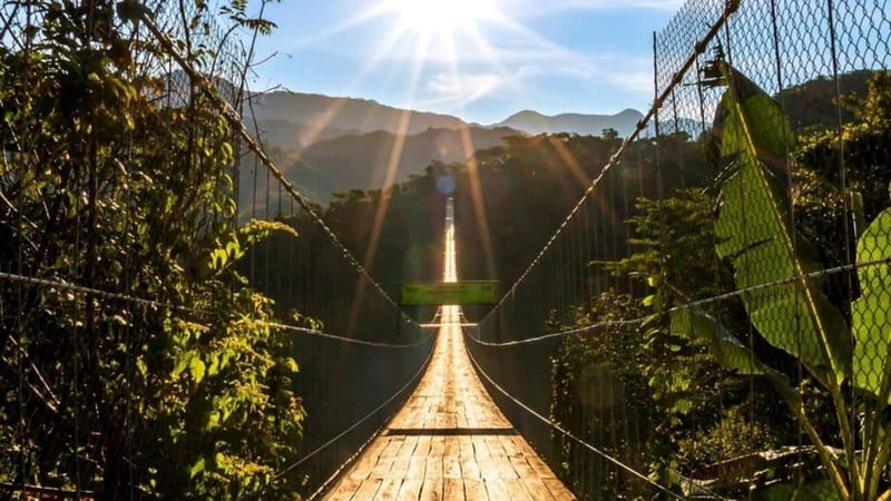 Puerto Vallarta: Canopy River + Jorullo Bridge Pass - Exploring the Canopy Zip Lines in the Eco-Park