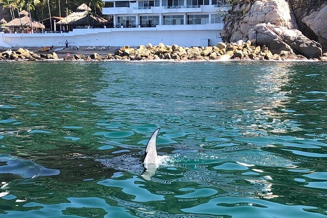 Puerto Vallarta City Tour By The Sea aboard Bruna - Exploring Downtown Puerto Vallarta from the Water
