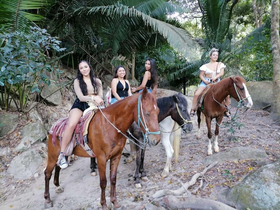 Puerto Vallarta: El Eden Horseback Riding - Scenic Horseback Ride Along the Mismaloya River