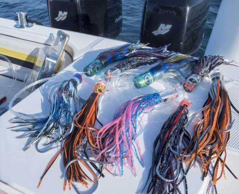 Puerto Vallarta: Fishing Pami I 27 - The Boat: PAMI I 27 Striper 2601 Design and Comfort