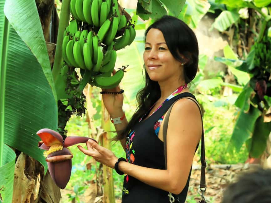 Puerto Vallarta: Hands-on Farm Experience from Cow to Cheese - Milking Cows the Traditional Way: An Authentic Farm Task