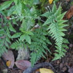 Puerto Vallarta: Hidden Beaches and Sea Adventures - How the Tour Begins: Meeting Point and Logistics