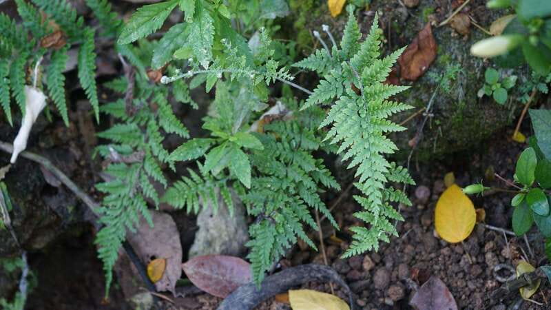 Puerto Vallarta: Hidden Beaches and Sea Adventures - How the Tour Begins: Meeting Point and Logistics