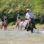 Puerto Vallarta: Horseback Ride to Mountain Waterfalls - Discovering a Charming Mountain Waterfall Surrounded by Greenery