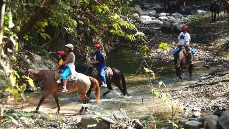 Puerto Vallarta: Horseback Riding at Hacienda Doña Engracia - Starting Point and Group Size