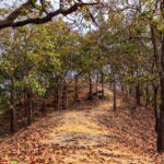 Puerto Vallarta: Jorullo Paradise Hiking Adventure - Starting Point and Transportation Logistics