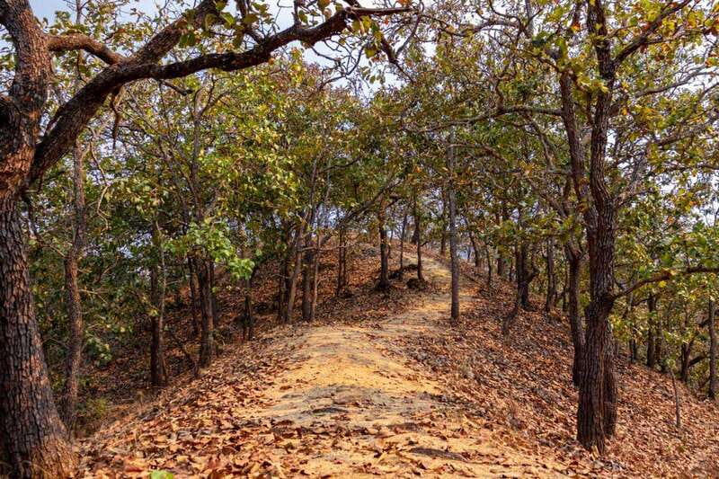 Puerto Vallarta: Jorullo Paradise Hiking Adventure - Starting Point and Transportation Logistics