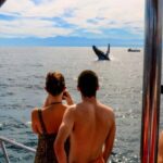 Puerto Vallarta: Mega Yacht Whale Watching Sunset Cruise - Starting Point and Pickup Options in Puerto Vallarta