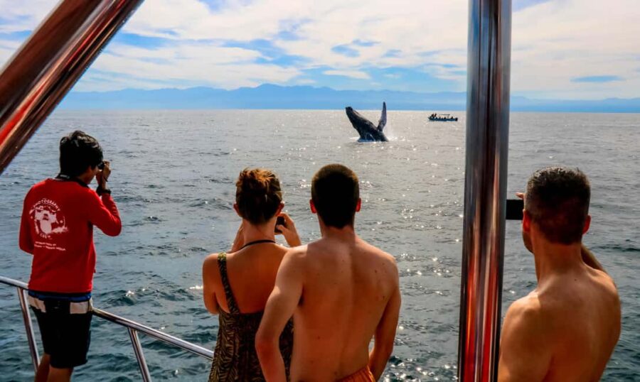 Puerto Vallarta: Mega Yacht Whale Watching Sunset Cruise - Starting Point and Pickup Options in Puerto Vallarta