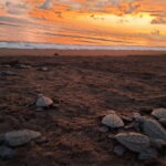Puerto Vallarta: Sea turtle release at Sunset - Starting Point and Transportation in Puerto Vallarta