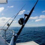 Puerto Vallarta: Shared Fishing - Meeting Point and Logistics in Puerto Vallarta