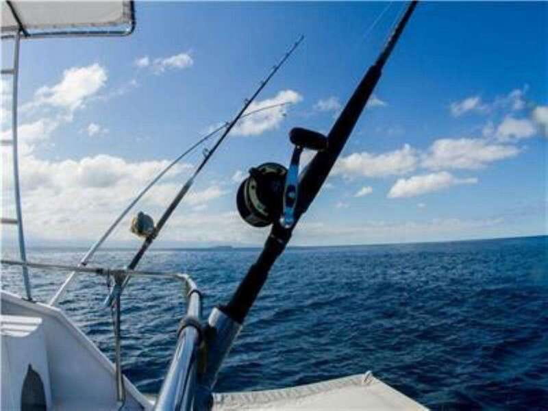 Puerto Vallarta: Shared Fishing - Meeting Point and Logistics in Puerto Vallarta
