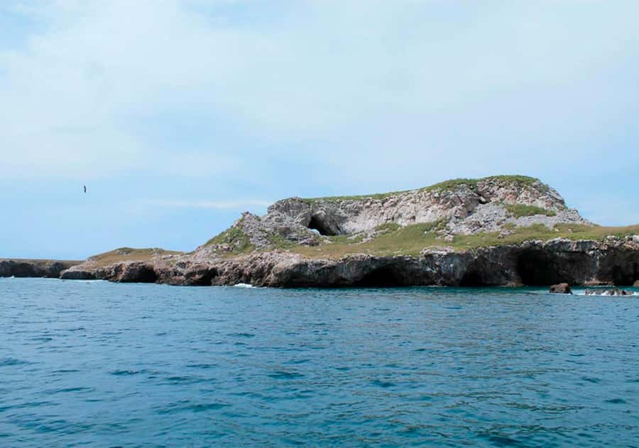 Puerto Vallarta: Snorkeling, Beach, Sailing to Marietas Park - Marine Wildlife Encounters During the Tour
