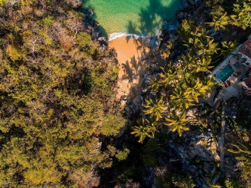 Puerto Vallarta: The Predator of the Sea - Scenic Cruise Past Puerto Vallarta and Cabo Corrientes Bay