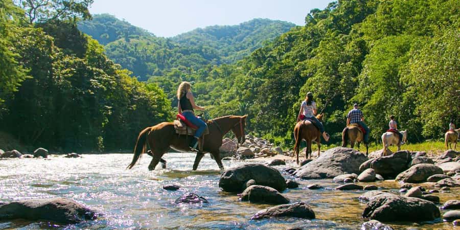 Puerto Vallarta: Tropical Forest Horseback Ride - Reaching the Waterfall at the End of the Trail