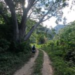 Puerto Vallarta: Waterfall Trail A Journey to the Essence of Nature - Scenic Transport to Boca de Tomatlan