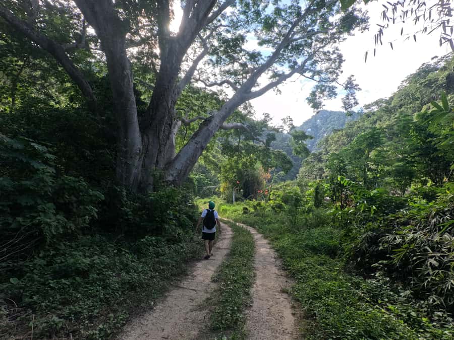 Puerto Vallarta: Waterfall Trail A Journey to the Essence of Nature - Scenic Transport to Boca de Tomatlan