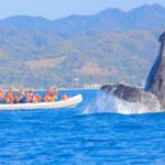 Puerto Vallarta Whale Watching by Speedboat Tour - Scenic Views of Puerto Vallarta’s Coastline