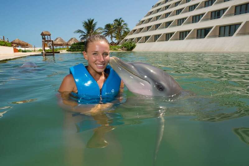 Punta Cancun: Swim with dolphins Harmony - What Participants Do During the 20 Minutes in the Water