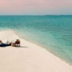 Punta Gorda: Boat tour to the beaches and sandbars. - What the Tour Includes: Comfort and Entertainment on the Water