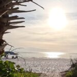 Punta Gorda: Gulf Coast Sunset Boat Tour - Starting Point at Laishley Park and the Marina